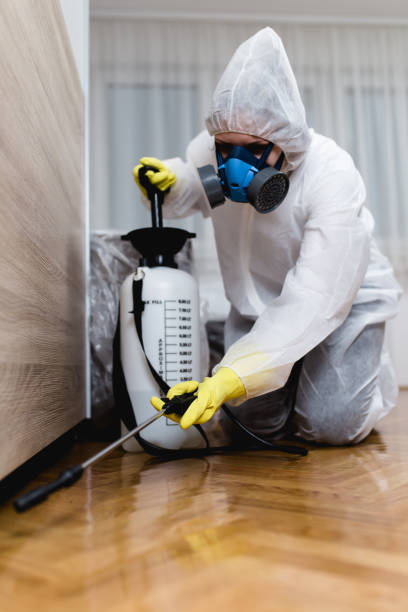 Reliable North Babylon, NY Pest Control Solutions